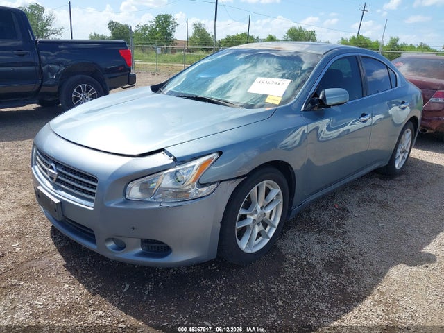 Auction sale of the 2010 Nissan Maxima 3.5 S, vin: 1N4AA5AP0AC819901, lot number: 45367917