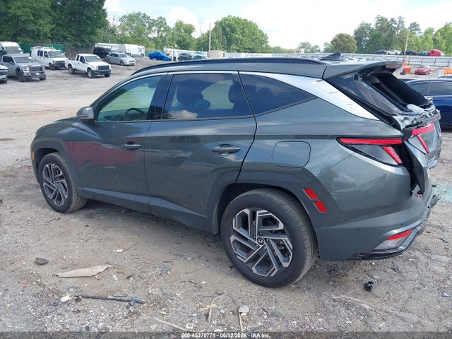 Auction sale of the 2025 Hyundai Tucson Hybrid Limited, vin: KM8JEDD19SU337841, lot number: 45370771