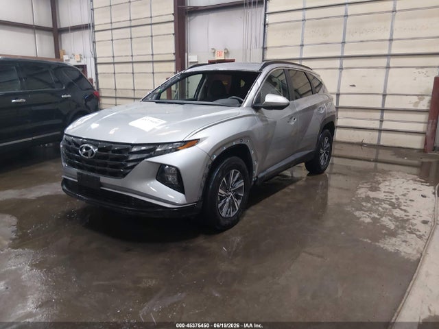 Hyundai Tucson Hybrid Blue 2024 KM8JBCD11RU240419 Image 2