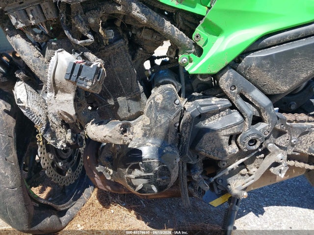 Kawasaki Ex650 P 2025 ML5EXEP12SDAD8508 Image 9