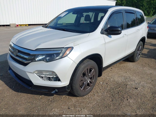 5FNYF6H61HB022888 Honda Pilot Ex-l