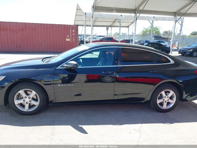 1G1ZB5ST1KF176666 Chevrolet Malibu 1ls