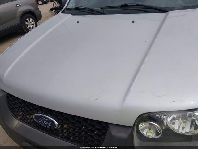 Продаж на аукціоні авто 2007 Ford Escape Xlt/xlt Sport, vin: 1FMYU93187KB37438, номер лоту: 45382708
