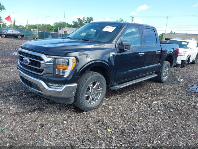 Auction sale of the 2023 Ford F-150 Xlt, vin: 1FTFW1E89PFA03791, lot number: 45383544