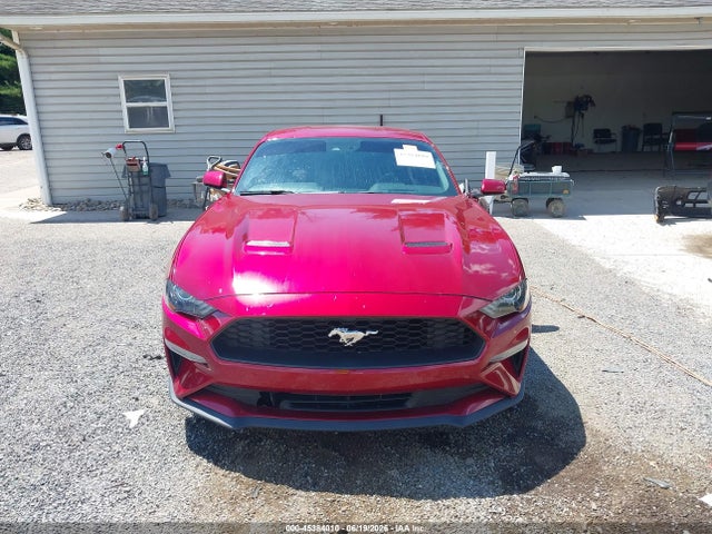 Ford Mustang Ecoboost 2019 1FA6P8TH1K5194247 Image 12