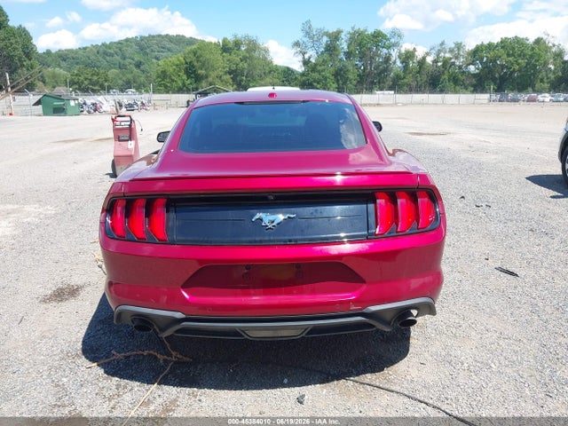 Ford Mustang Ecoboost 2019 1FA6P8TH1K5194247 Image 16