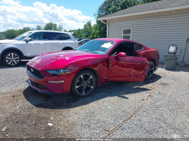 Ford Mustang Ecoboost 2019 1FA6P8TH1K5194247 Image 2
