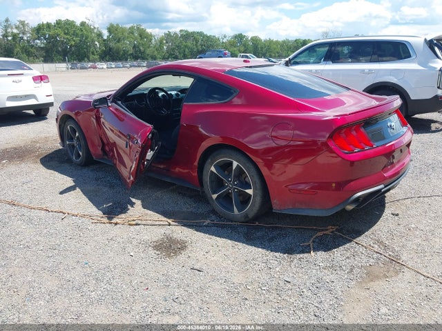 Ford Mustang Ecoboost 2019 1FA6P8TH1K5194247 Image 3