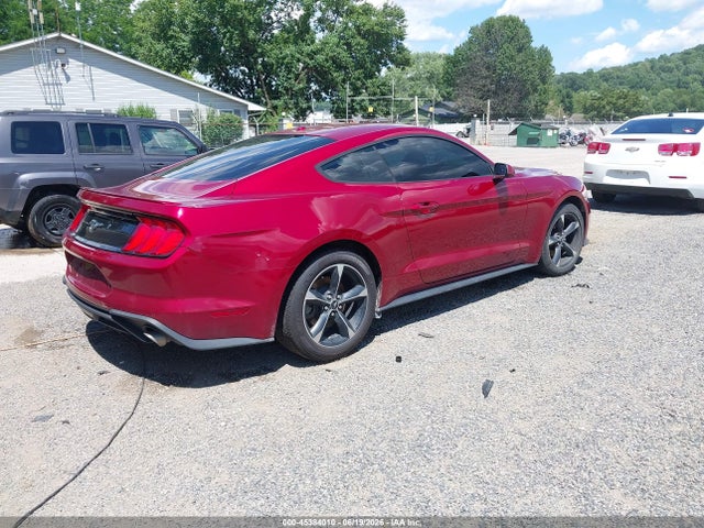 Ford Mustang Ecoboost 2019 1FA6P8TH1K5194247 Image 4