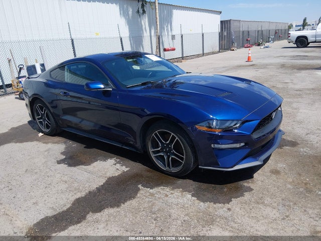 2019 1FA6P8TH6K5123528 main image