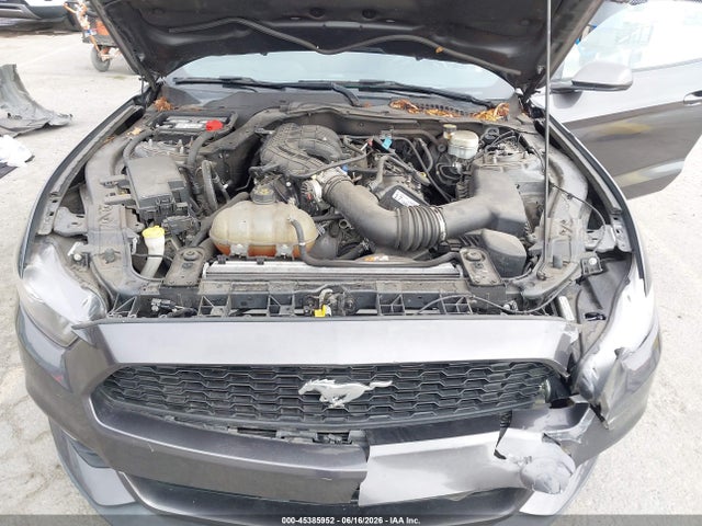 1FA6P8AM7H5301214 Ford Mustang V6