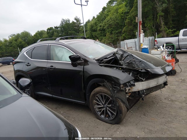 45386520 :رقم المزاد ، 2T2GGCEZ5RC040799 vin ، 2024 Lexus Nx 350 Premium مزاد بيع