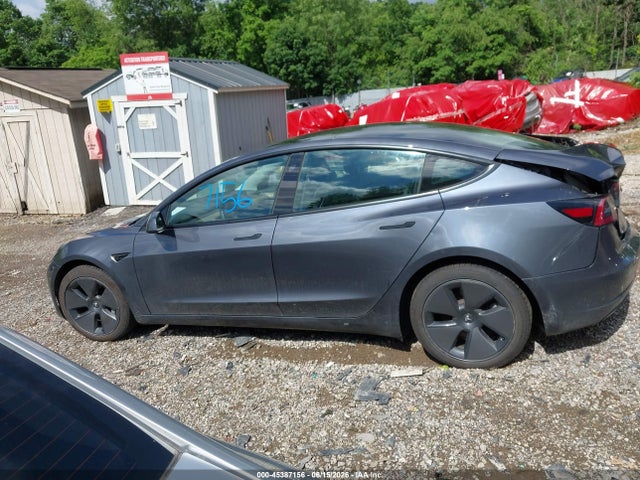 Продаж на аукціоні авто 2023 Tesla Model 3 Rear-wheel Drive, vin: 5YJ3E1EA4PF703036, номер лоту: 45387156
