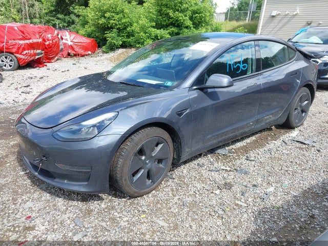 Продаж на аукціоні авто 2023 Tesla Model 3 Rear-wheel Drive, vin: 5YJ3E1EA4PF703036, номер лоту: 45387156