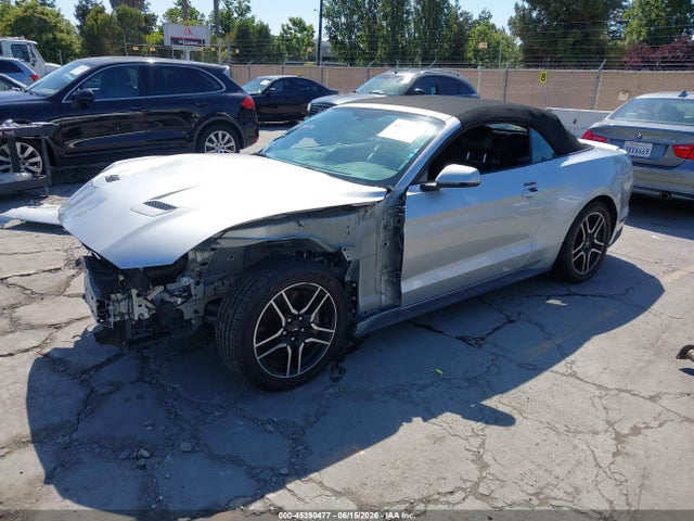 1FATP8FF4K5169954 Ford Mustang Gt Premium
