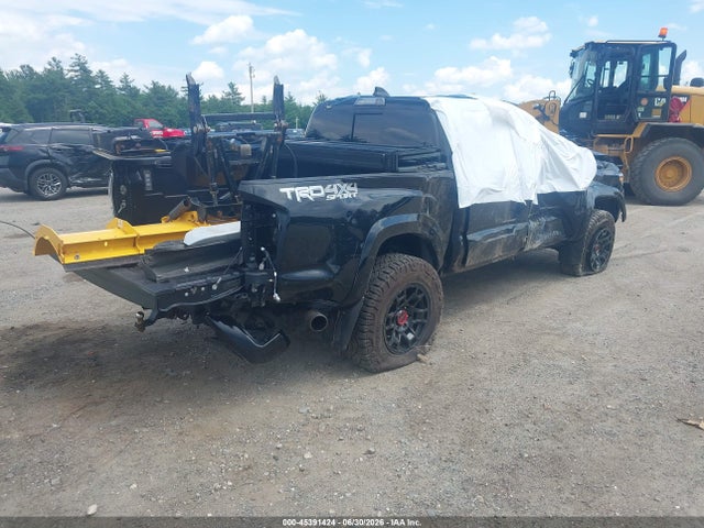 3TMCZ5AN0MM386223 Toyota Tacoma Trd Sport