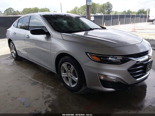 Chevrolet Malibu 1fl 2019 1G1ZC5ST0KF194525 main image
