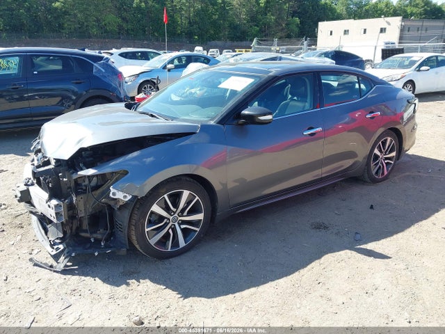 1N4AA6AV9KC362169 Nissan Maxima 3.5 Sl