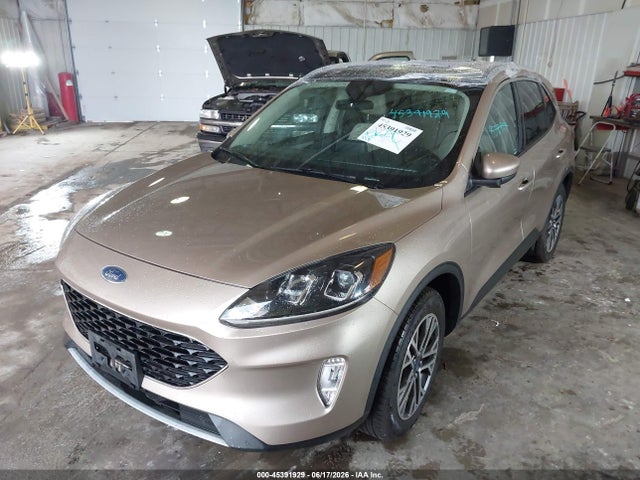 Продажа на аукционе авто 2020 Ford Escape Sel, vin: 1FMCU9H60LUA49092, номер лота: 45391929