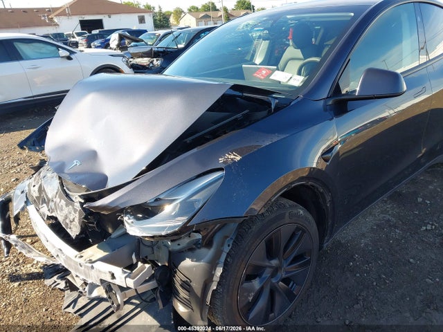 Продаж на аукціоні авто 2024 Tesla Model Y Long Range Dual Motor All-wheel Drive, vin: 7SAYGDEE3RF132973, номер лоту: 45392024