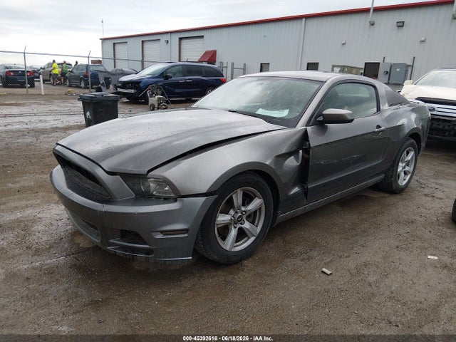 1ZVBP8AM3E5208773 Ford Mustang V6/v6 Premium