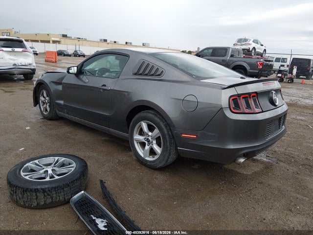 1ZVBP8AM3E5208773 Ford Mustang V6/v6 Premium