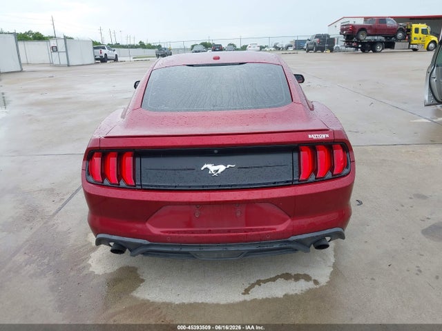 1FA6P8TH1K5174953 Ford Mustang Ecoboost Premium