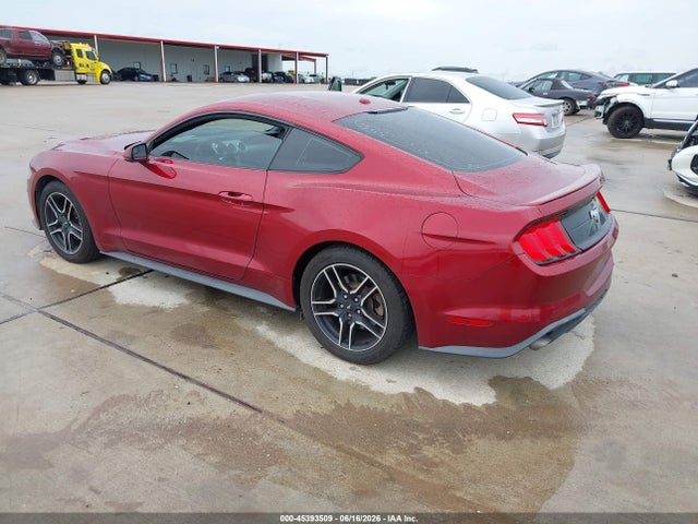 Ford Mustang Ecoboost Premium 2019 1FA6P8TH1K5174953 Image 3