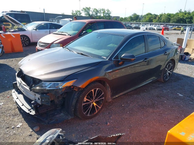 4T1B31HK6KU006226 Toyota Camry Hybrid Le