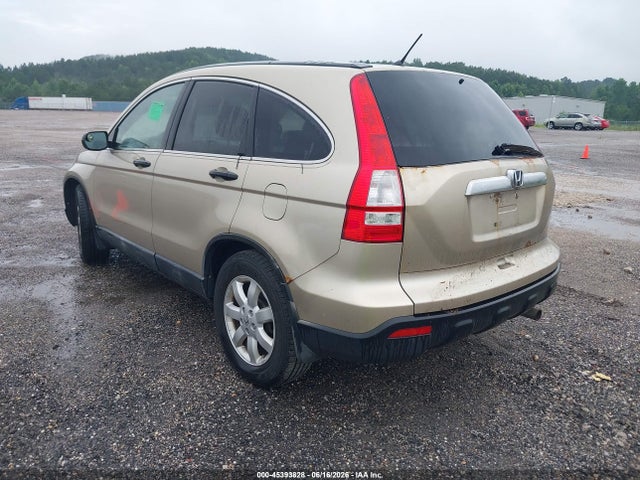 Продажа на аукционе авто 2009 Honda Cr-v Ex, vin: 5J6RE48529L029232, номер лота: 45393828