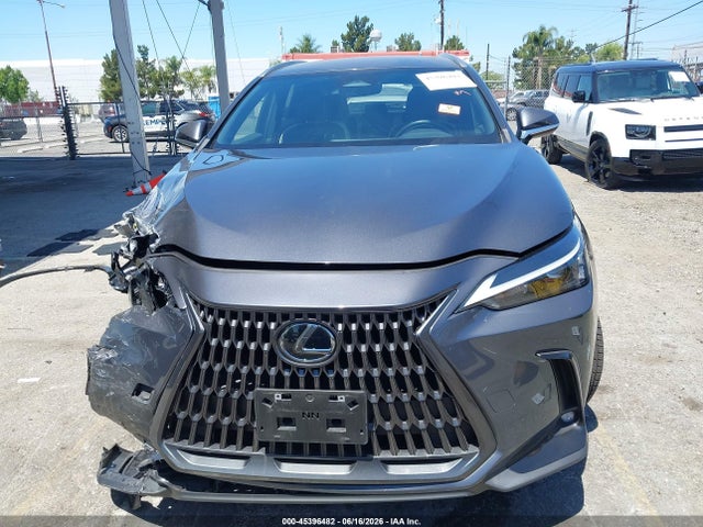 Lexus NX 250 2024 JTJADCAZ0R5013769 Image 13