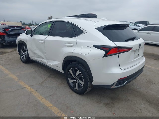 Lexus NX 300H 2020 JTJGJRDZ8L5001538 Image 3