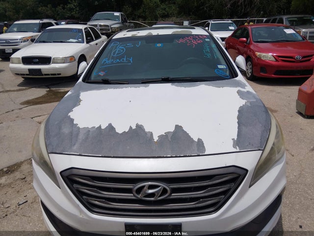 Hyundai Sonata Sport 2016 5NPE34AF8GH413644 Image 12