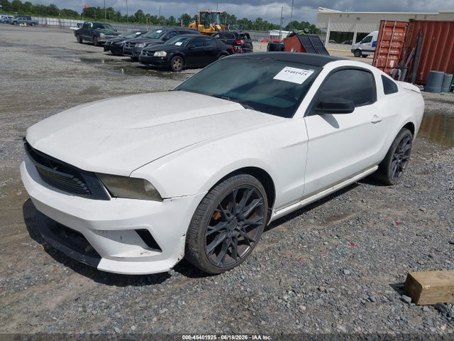 45401925 :رقم المزاد ، 1ZVBP8AN3A5180489 vin ، 2010 Ford Mustang V6/v6 Premium مزاد بيع