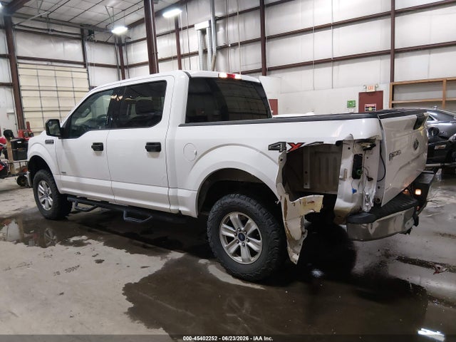 Ford F-150 Xlt 2016 1FTEW1EG7GKD01556 Image 14