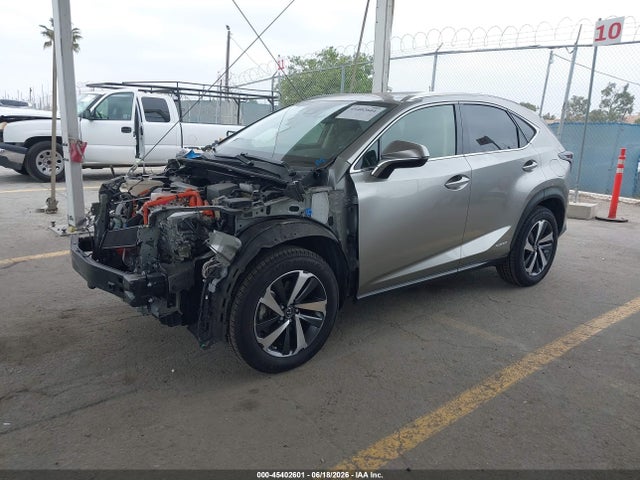Lexus NX 300H 2020 JTJGJRDZ1L5006029 Image 2