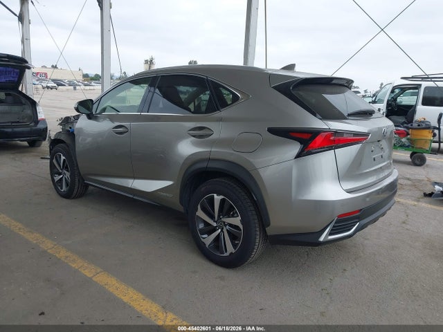 Lexus NX 300H 2020 JTJGJRDZ1L5006029 Image 3