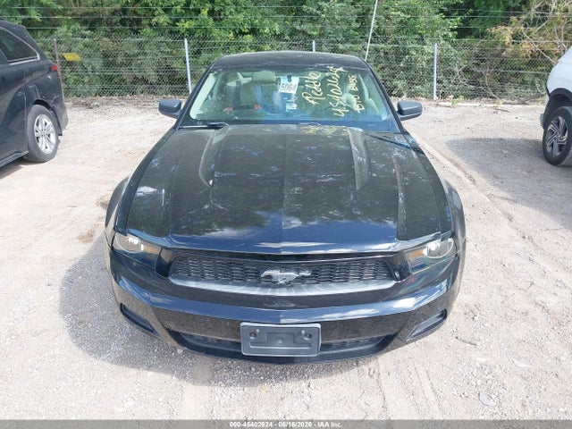 Aukcja sprzedaży 2011 Ford Mustang V6/v6 Premium, vin: 1ZVBP8AM2B5157181, numer aukcji: 45402624
