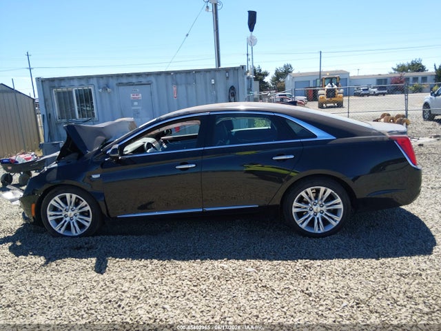 Cadillac XTS LUXURY 2019 2G61M5S33K9125745 Image 14