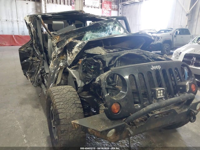 Aukcja sprzedaży 2009 Jeep Wrangler Unlimited Sahara, vin: 1J4GA59129L788855, numer aukcji: 45403215