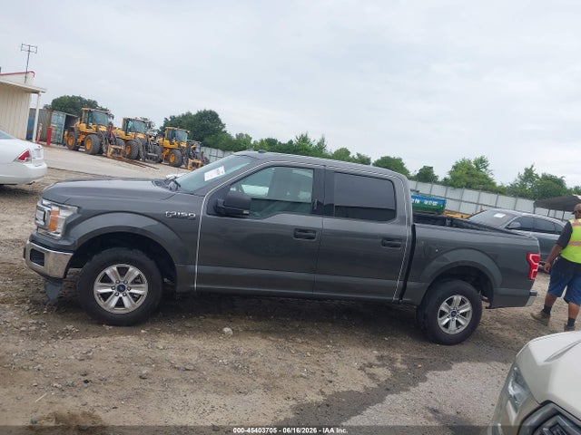 Auction sale of the 2019 Ford F-150 Xlt, vin: 1FTEW1C54KKD74782, lot number: 45403705