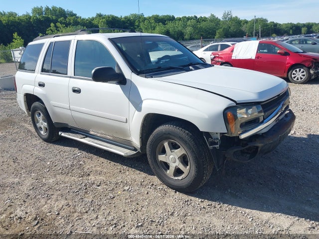 2006 Chevrolet Trailblazer Ls მანქანა იყიდება აუქციონზე, vin: 1GNDT13S162141112, აუქციონის ნომერი: 45404516