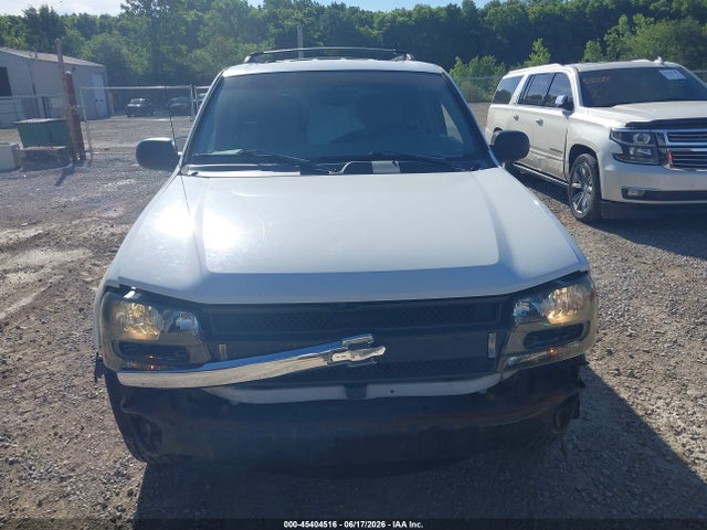 2006 Chevrolet Trailblazer Ls მანქანა იყიდება აუქციონზე, vin: 1GNDT13S162141112, აუქციონის ნომერი: 45404516