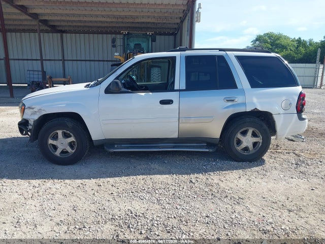 2006 Chevrolet Trailblazer Ls მანქანა იყიდება აუქციონზე, vin: 1GNDT13S162141112, აუქციონის ნომერი: 45404516
