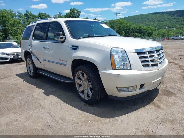 Auction sale of the 2010 Cadillac Escalade Luxury, vin: 1GYUKBEFXAR289321, lot number: 45404755