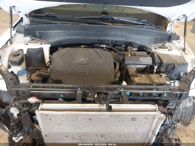 Aukcja sprzedaży 2020 Kia Telluride S, vin: 5XYP6DHC7LG033451, numer aukcji: 45406208