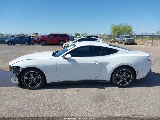 Ford Mustang Ecoboost Fastback 2025 1FA6P8TH4S5116920 Image 15