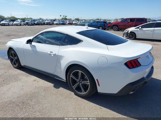 Ford Mustang Ecoboost Fastback 2025 1FA6P8TH4S5116920 Image 3