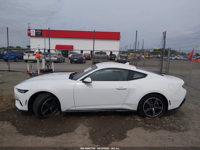 45407700 :رقم المزاد ، 1FA6P8TH3R5107555 vin ، 2024 Ford Mustang Ecoboost Fastback مزاد بيع