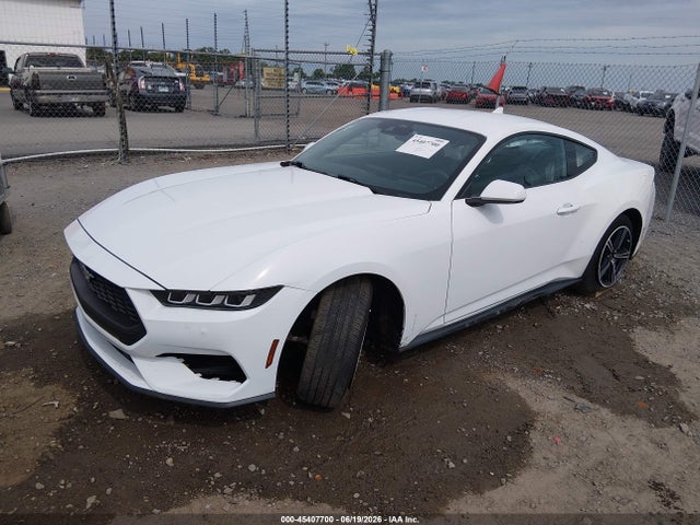 45407700 :رقم المزاد ، 1FA6P8TH3R5107555 vin ، 2024 Ford Mustang Ecoboost Fastback مزاد بيع